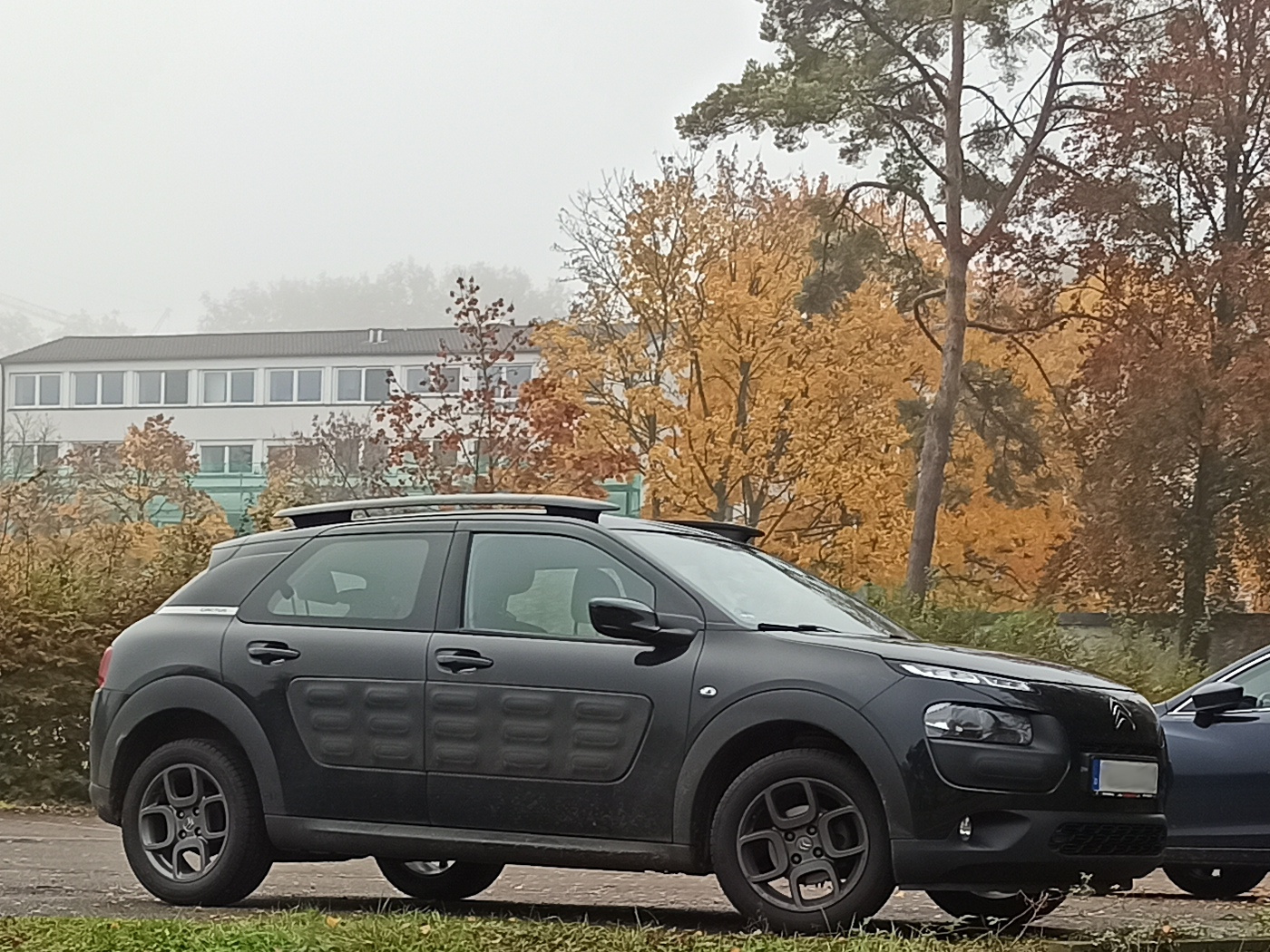 Citroen C4 Cactus