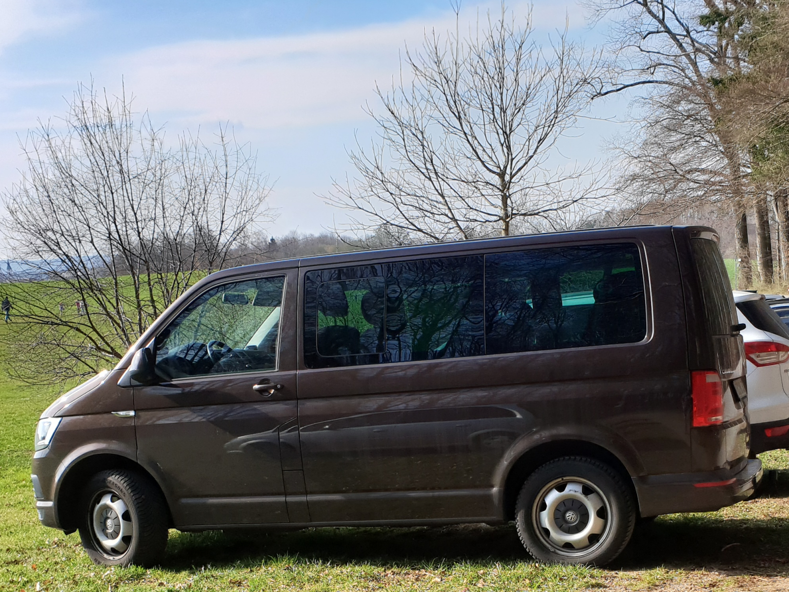 VW Typ2 T6