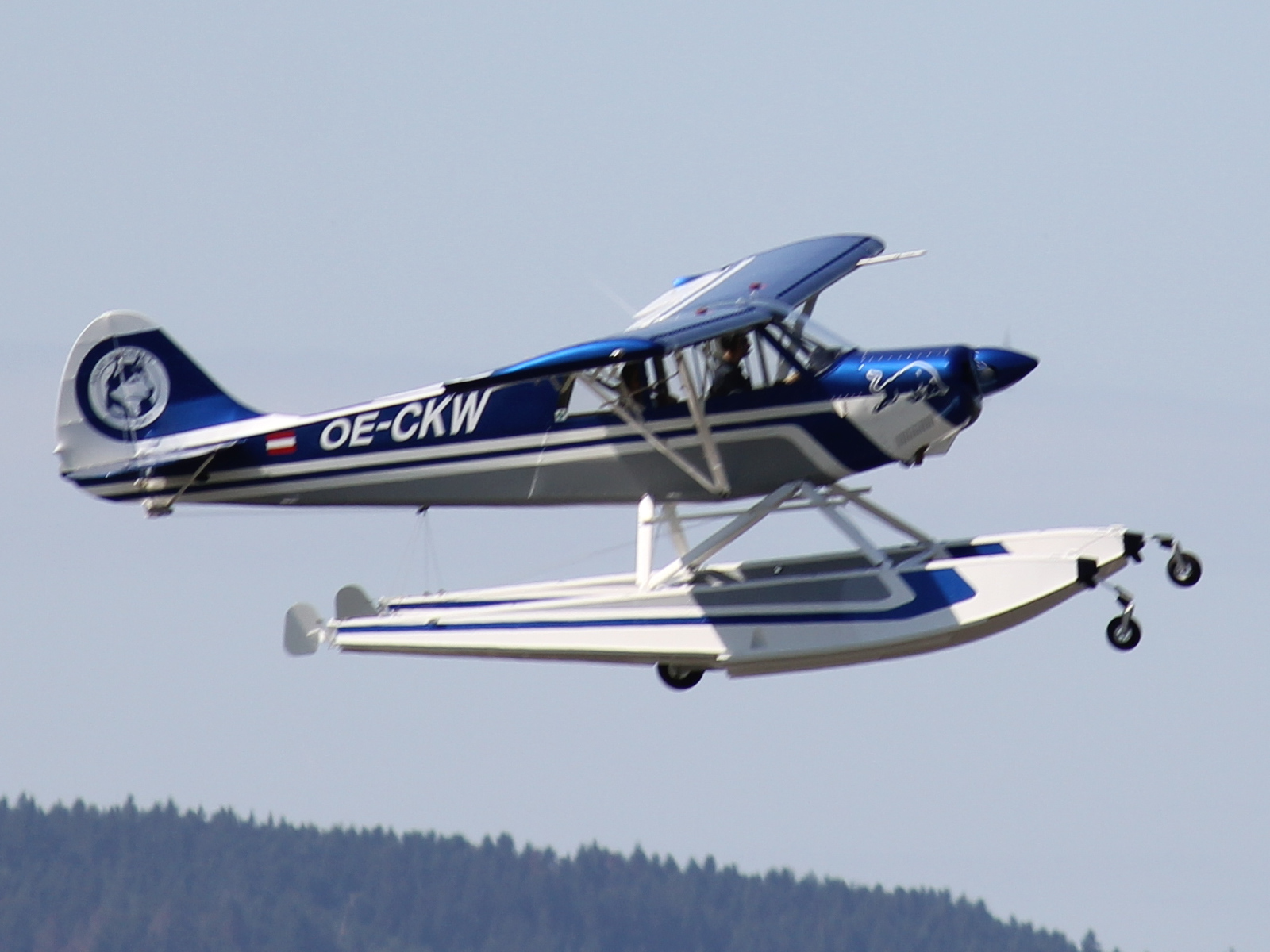 Aviat A-1B Husky