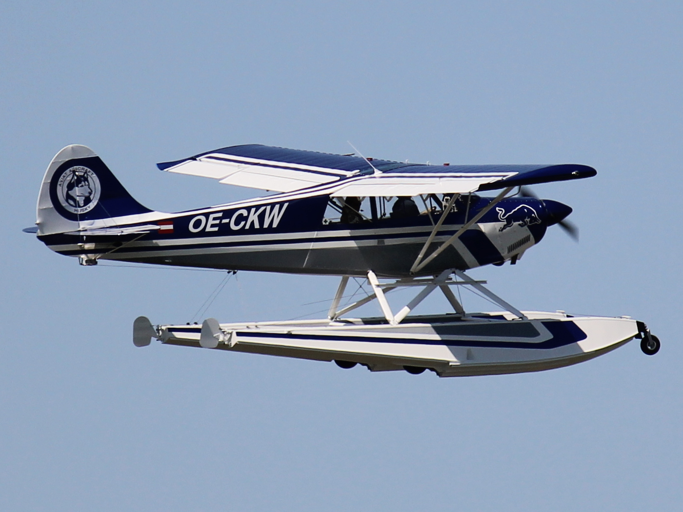 Aviat A-1B Husky