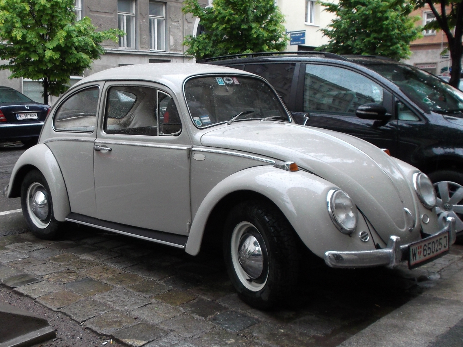 VW Kaefer