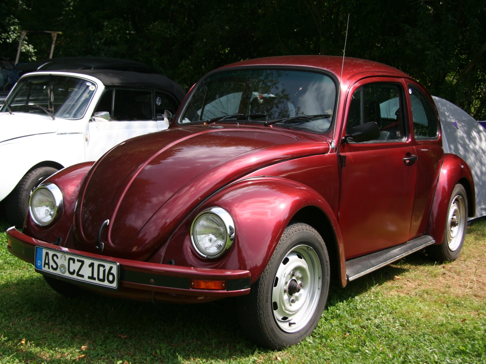 VW Kaefer