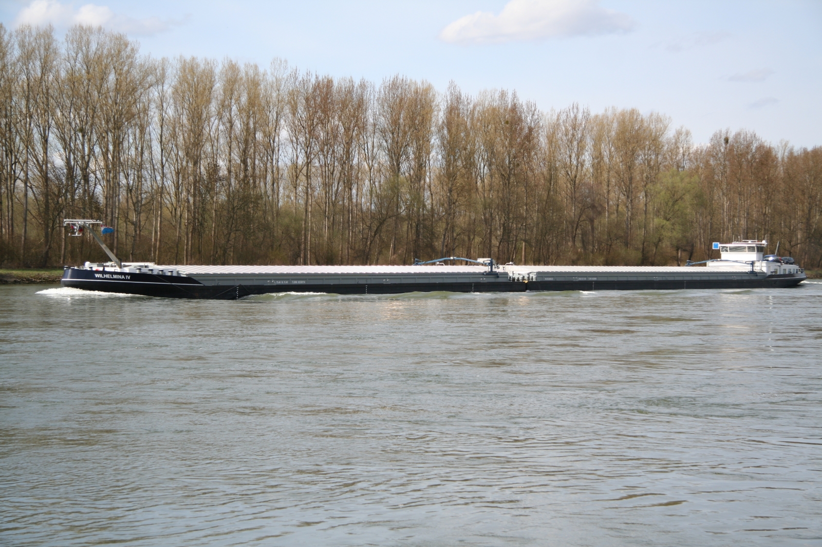 Wilhelmina IV
