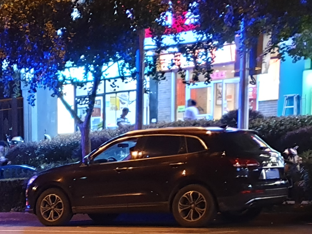 Borgward BX7