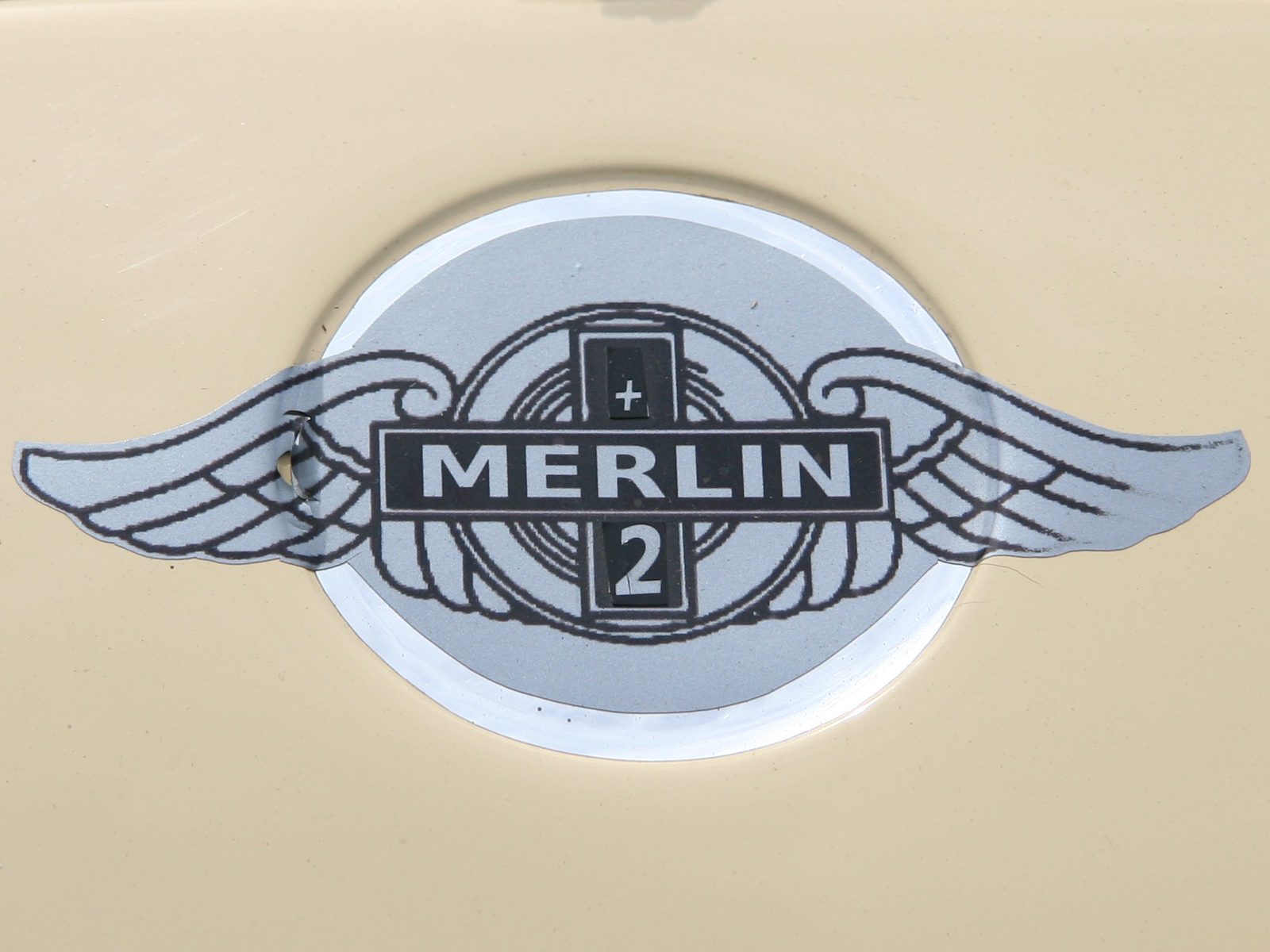 Merlin Detail