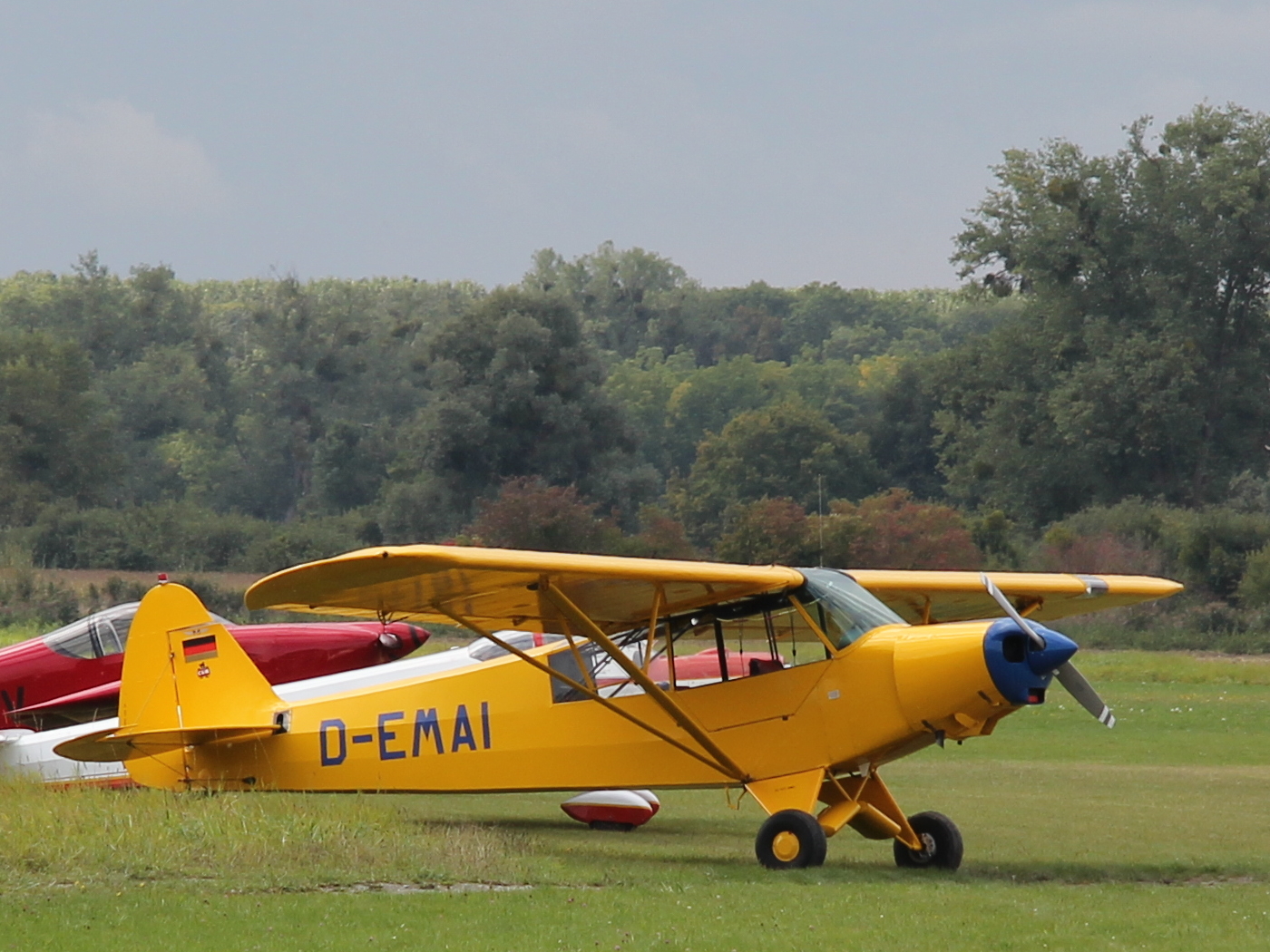 Piper PA-18-135 Super Cub