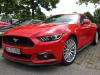 Ford Mustang 5,0 Ford Mustang 5,0