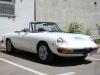 Alfa Romeo Spider