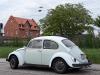VW Kaefer VW Kaefer