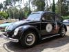 VW Kaefer VW Kaefer