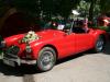 MG MGA MG MGA