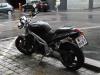 Triumph T509 Speed Triple Triumph T509 Speed Triple