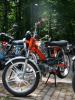 Kreidler Flory RS Kreidler Flory RS