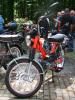 Kreidler Flory RS