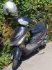 Scooter Tribal Scooter Tribal