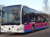 Mercedes Benz Citaro Mercedes Benz Citaro