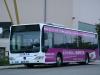 Mercedes Benz Citaro Mercedes Benz Citaro