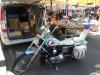 Harley Davidson Harley Davidson