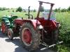 IHC Mc Cormick D 324