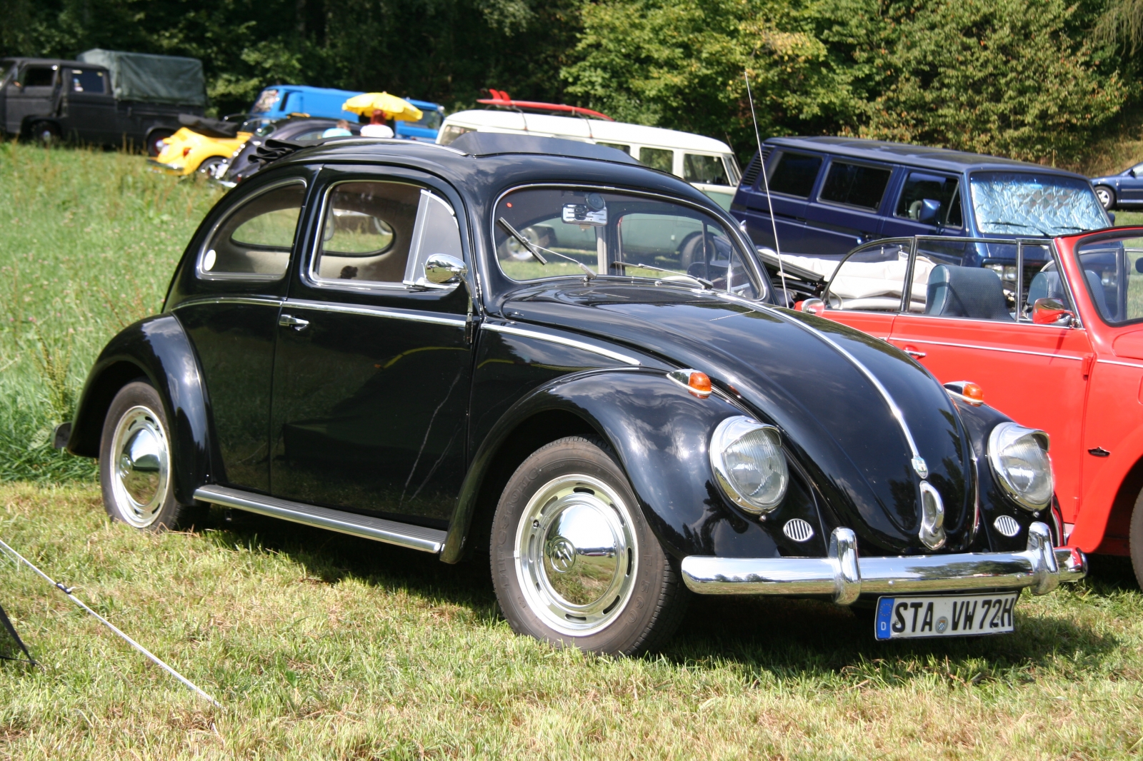 VW Kaefer