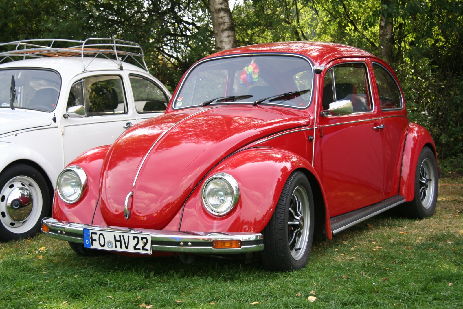 VW Kaefer