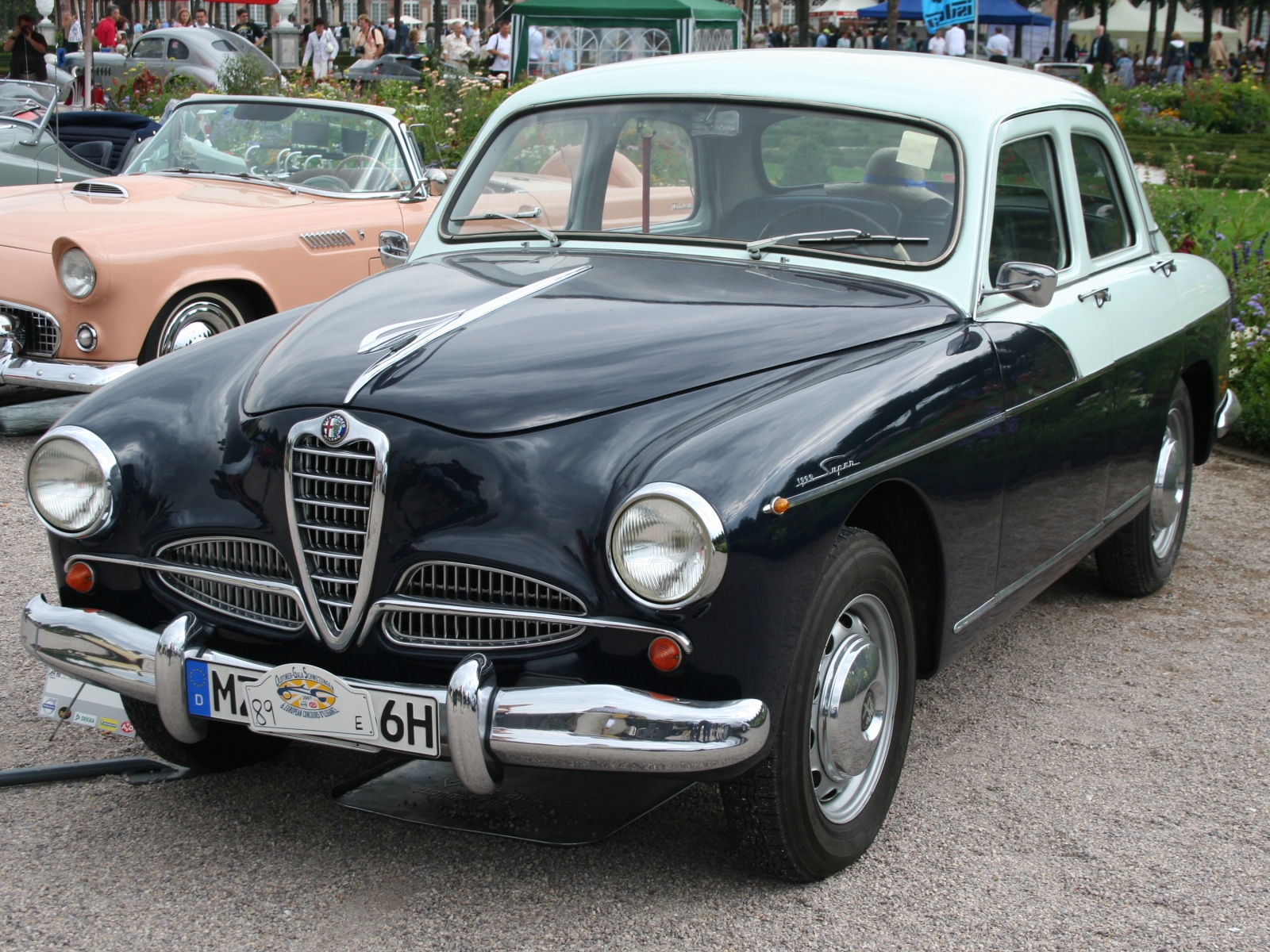 Alfa Romeo 1900 Super Bicolore