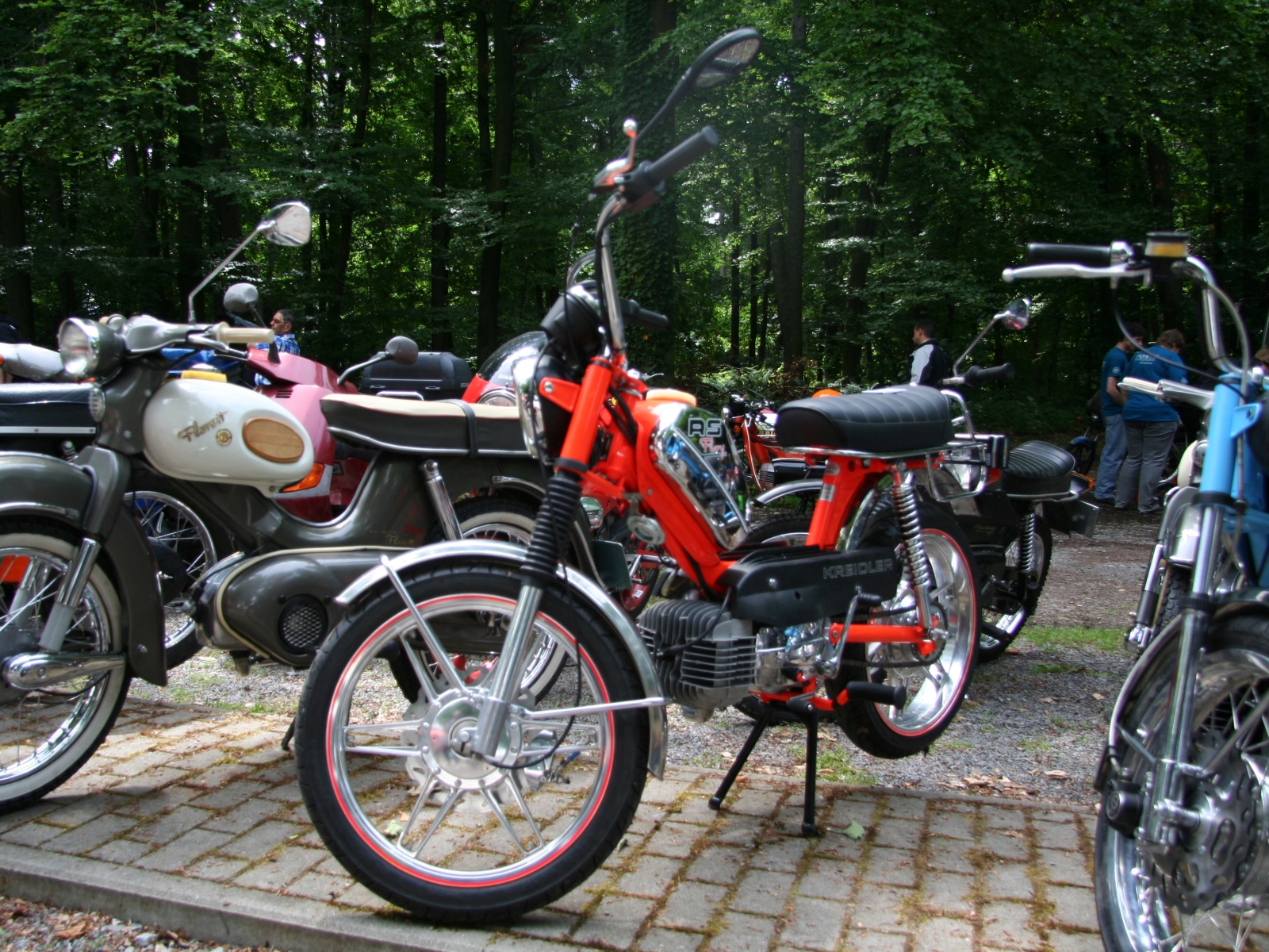 Kreidler Flory RS