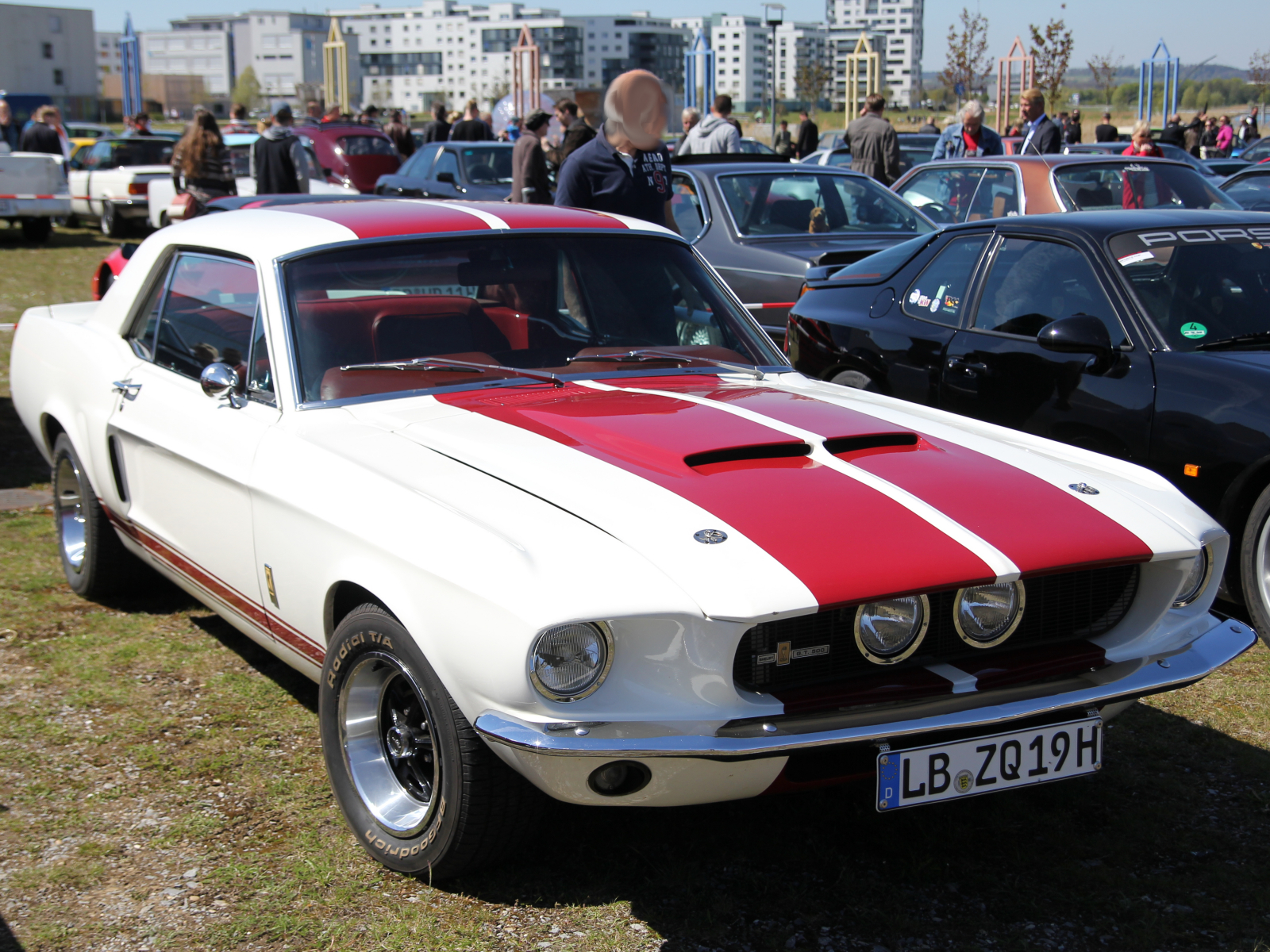 Shelby GT 500