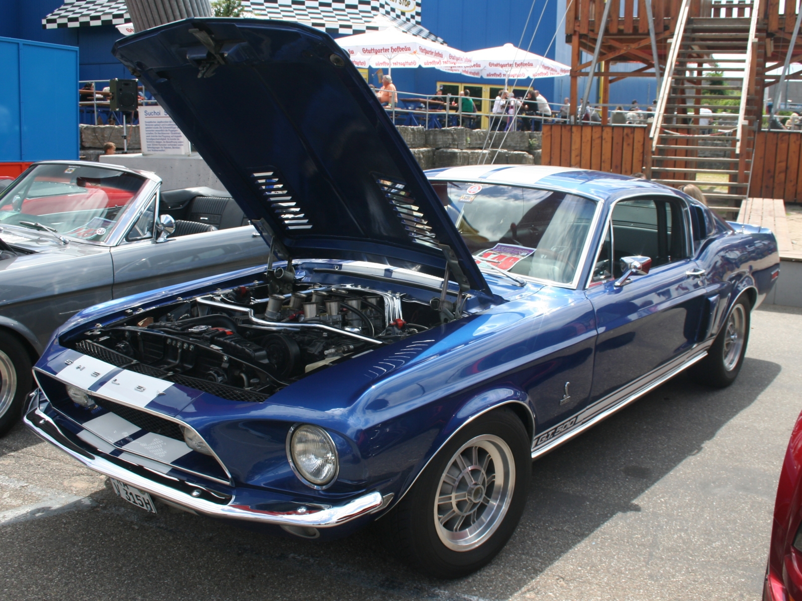 Shelby GT 500