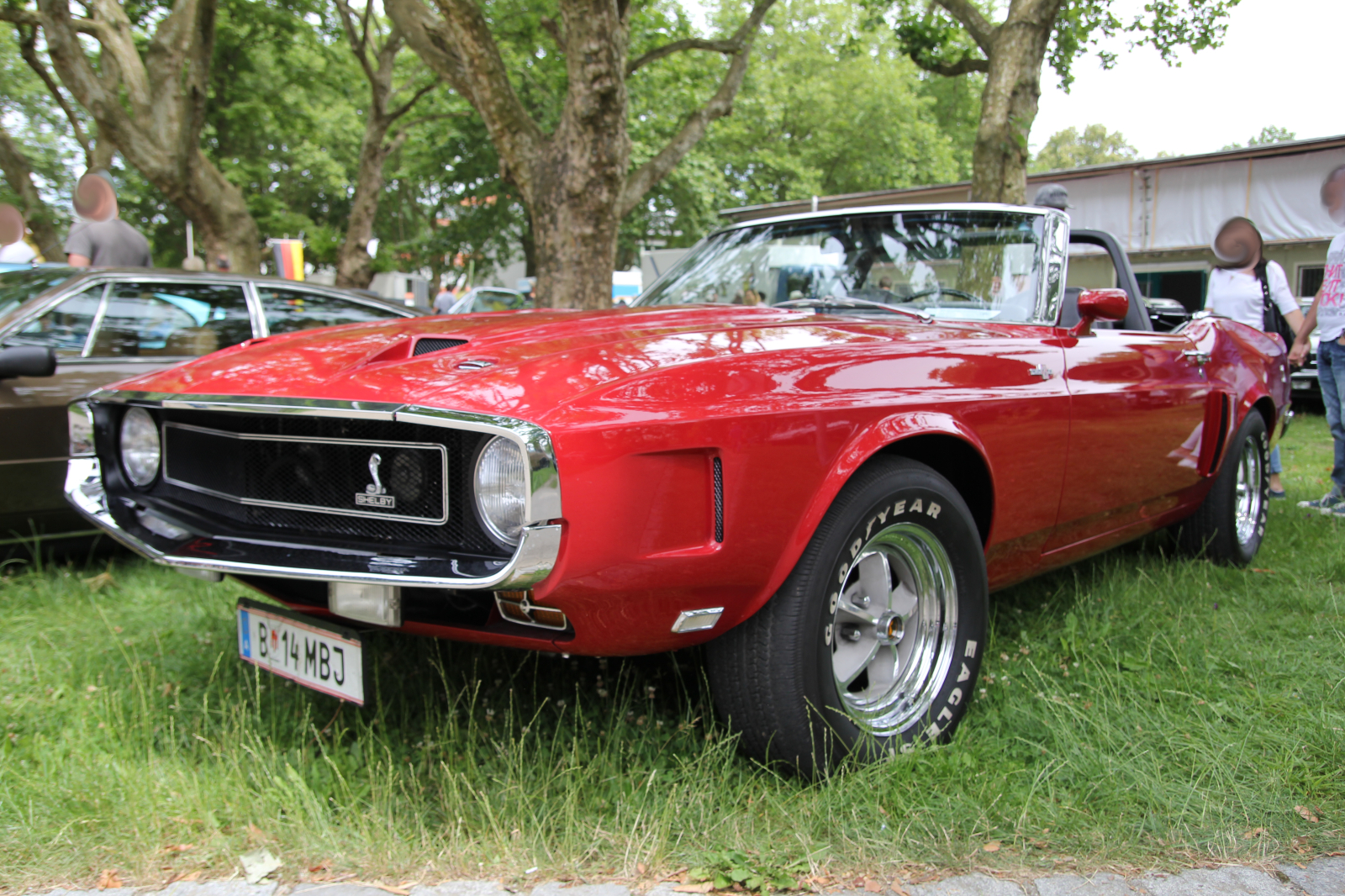 Shelby Mustang