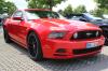 Ford Mustang GT 5,0 Ford Mustang GT 5,0
